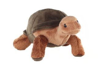 Obrázek z Želva plyš 21cm (6) 
